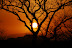 DSC_0455.JPG