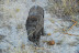 DSC_0015.JPG