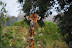 DSC_0187.JPG