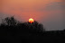 DSC_0194.JPG