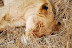 DSC_0313.JPG