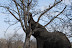 DSC_0370.JPG
