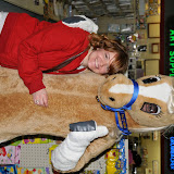 Breyer Fun Day