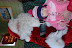 DSC_0016.JPG