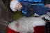 DSC_0046.JPG