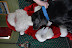 DSC_0038.JPG