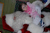 DSC_0221.JPG