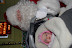 DSC_0275.JPG