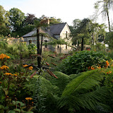 August Garden for Website