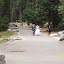 Wedding 125.jpg