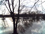 Germany, Sachsen-Anhalt, Plötzky, during the flood