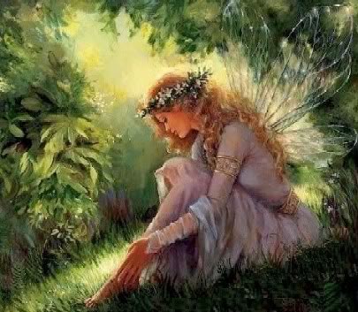 Ninfa