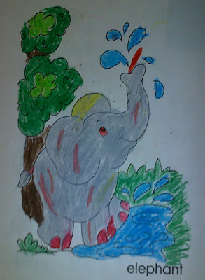 elephant with rash