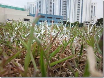 Photo0127