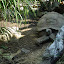 Bioparco di Roma