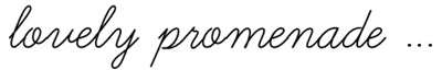 blog blabla
