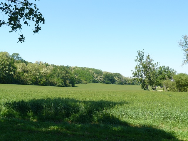 [P1400553[2].jpg]