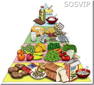 piramide_alimentar1