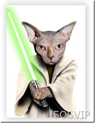 Yoda Yoda