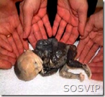 aborto-1 aborto-1