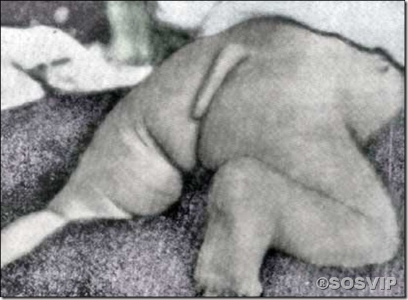 rabos.jpg (3) rabos.jpg (3)