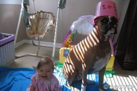 [Cachorro-bab-a-melhor-bab-babysitter[18].jpg]