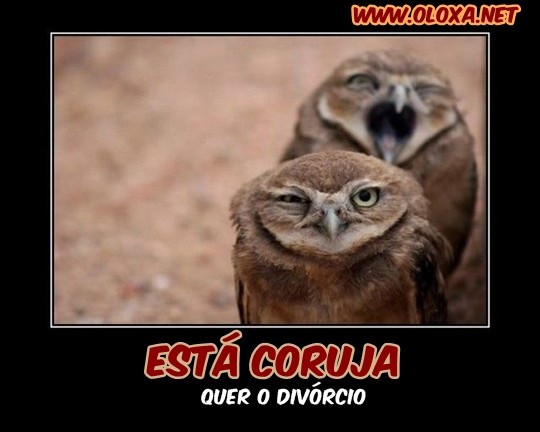 Coruja_evil