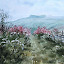 Towards Pen y Fan Towards Pen y Fan