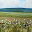 Towards Llyn y Fan Fawr - summer
