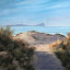 wormshead-l.jpg