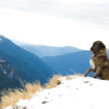 Fagaras 4-5 decembrie 2009 -43.jpg