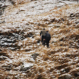 Malaiesti 25 - 26 noiembrie 2009 - 9.JPG