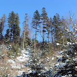 Siriu_Virgil_152.jpg