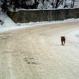 Siriu_Virgil_253.jpg