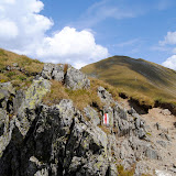 _DSC0203.JPG