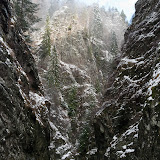 _DSC0319.jpg