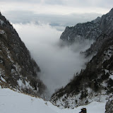 IMG_7037.JPG