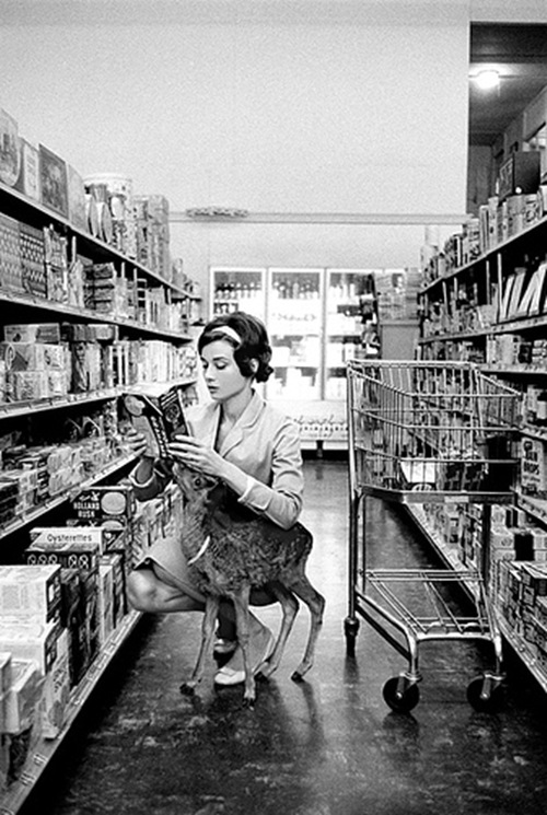 hepburn-shopping-in-beverly-hills-with-ip-1958