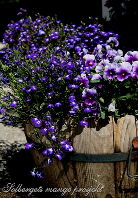 IMG_0422 IMG_0422