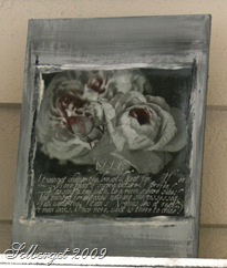 IMG_0609 2 IMG_0609 2
