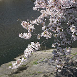 0407082009Kyoto
