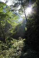 [IMG_78654.jpg]
