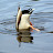 100_2853.JPG