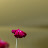 100_1717.JPG