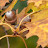 DSC00316.JPG