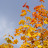 100_3116.JPG