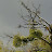 100_3117.JPG
