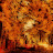 100_3478_fhdr1.jpg 100_3478_fhdr1.jpg