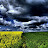 _DSC4913_fhdr.jpg _DSC4913_fhdr.jpg