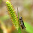 100_8227.JPG